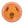 Innova Blizzard Champion Boss