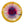 Innova I-Dye Champion Leopard3