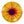 Discraft Fly Dye Z Sol